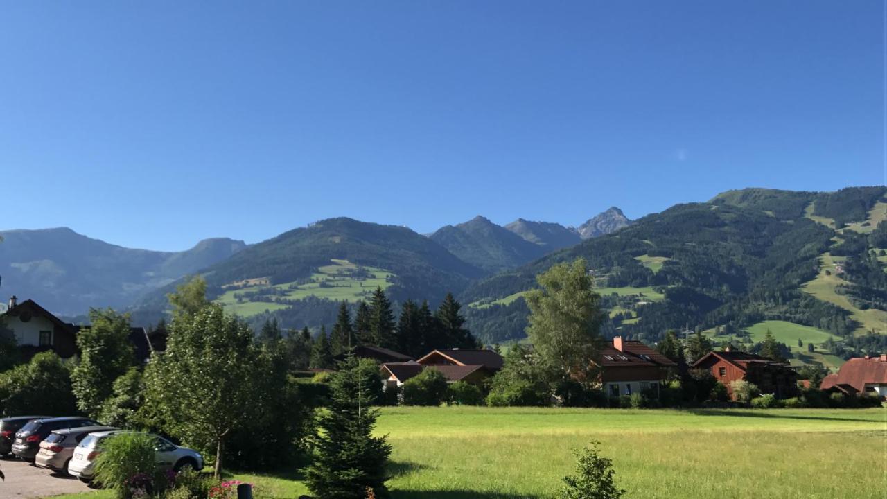 Apartmenthaus Rapplhof Haus im Ennstal Kültér fotó