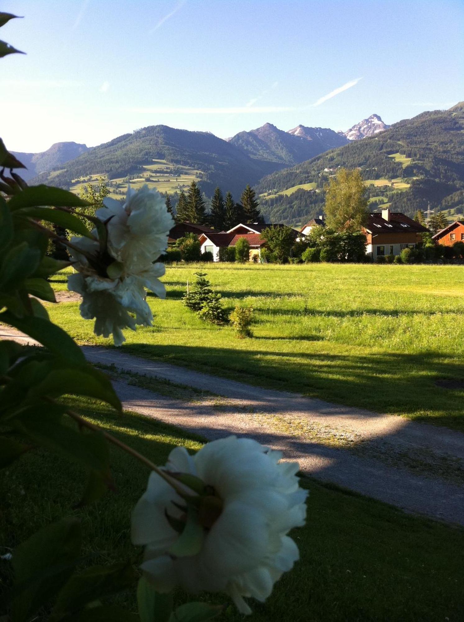 Apartmenthaus Rapplhof Haus im Ennstal Kültér fotó